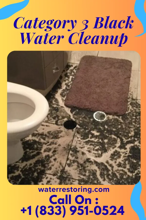 Category 3 Black Water Cleanup in Yale, SD