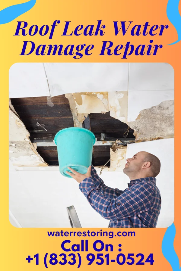 Roof Leak Water Damage Repair in Yale, SD